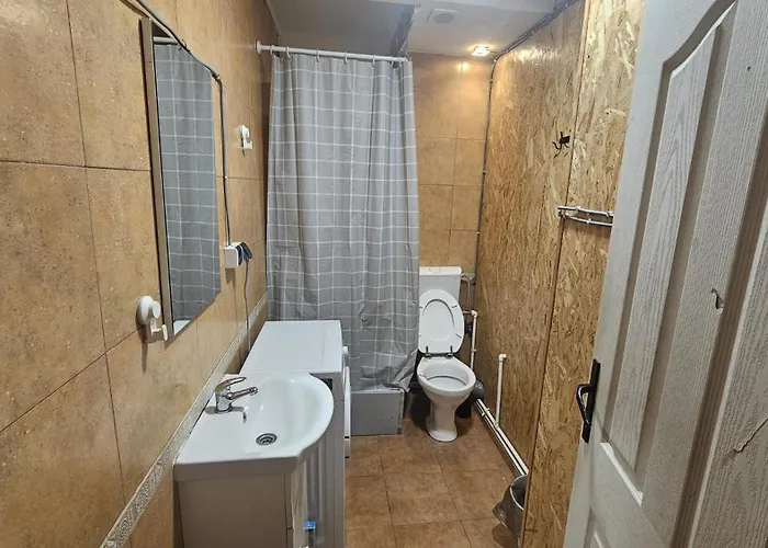 Victoriei54you Homestay Bucharest