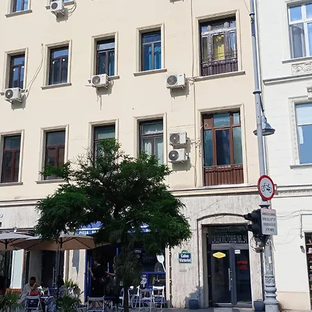 Victoriei54you Homestay